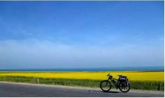 挽回与成功的感悟,失去后收获，坚持不懈成功