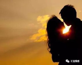 情感挽回复合修复,挽回爱情，修复过错