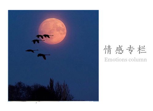 北京离婚冷静期挽回，怎样在北京离婚冷静期内挽回爱情？