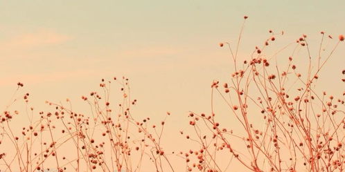 挽回老公的最佳办法,如何挽回老公的心