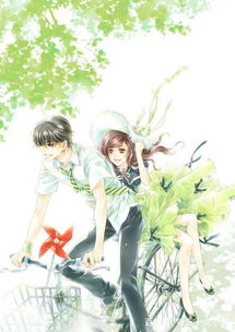 重新挽回妻子的小说,重拾爱情的故事