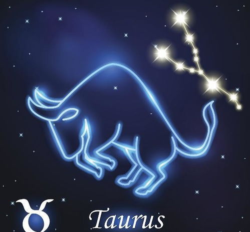 怎么去挽回摩羯座男,追回摩羯男的小技巧