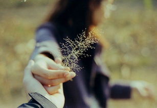 老公欲出轨怎么挽回,老公出轨危机，如何挽救？