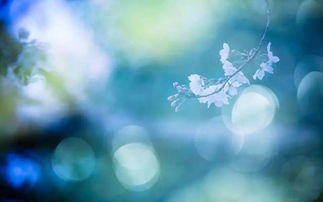 挽回明月当讲了什么,如何挽回失去的爱情