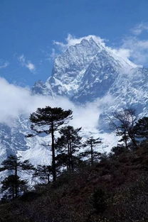 适合挽回女孩的歌曲,优美动人暖心的挽回情歌