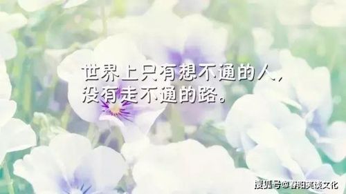 挽回发朋友圈,挽回友情，发朋友圈，变故化平和