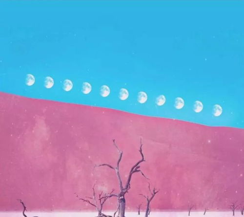 天蝎男挽回手段,如何挽回天蝎男？