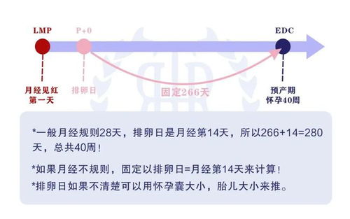 挽回需求和调整模式,“挽回爱情”模式精准调整