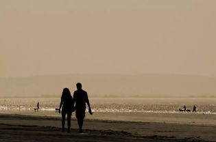 感情出问题怎样挽回,感情出问题的挽回策略