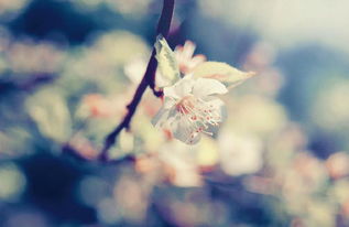 挽回的话让她感动,用挚爱重修爱情，悔过自新再出发