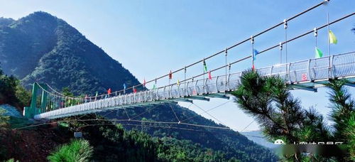 挽回时运用吊桥效应,重燃激情：用吊桥效应拯救你的恋情