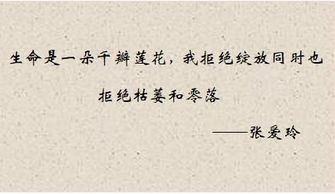 爱情挽回案例语录，成功挽回爱情的语录与经验分享