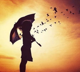 无可挽回下载,不可挽回的下载失败