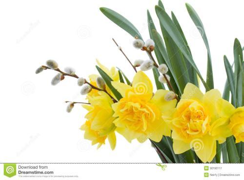 挽回需要买花吗,挽回爱情是否需要送花？