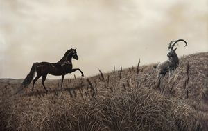 怎么挽回感情生肖马,怎样挽回与生肖马的感情 -- 情感救赎：重拾生肖马之缘