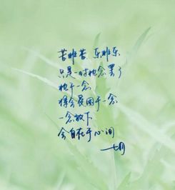 这次换我来挽回你可好，让我来努力挽回你，好吗？