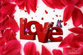 用特殊方法挽回感情,用心爱的礼物挽回TA的心