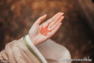 男人婚姻出轨如何挽回,挽救婚姻：如何让出轨男人回头