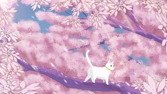 正确挽回射手座，如何有效挽回射手座的心？