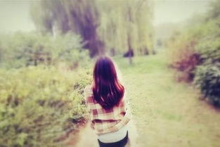 挽回爱情感人书,失恋后的重逢