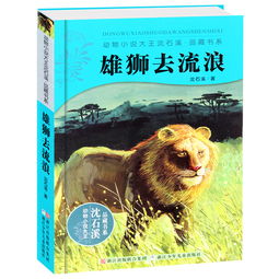 挽回狮子男的时机,如何抓住狮子男的挽回时机