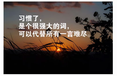 挽回心态和行动,如何挽回失落的心情和采取行动，请看这里。