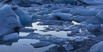 看到冰山灾难怎么挽回,挽救冰山灾难的措施