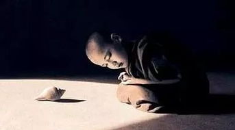 厌倦分手挽回的话短句,不再挽回，学会放手