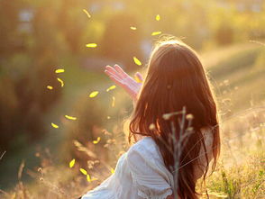 前女友不想挽回了,前任已放弃，想要挽回已无望。