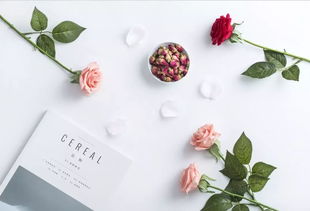 情感挽回女朋友礼物,情感挽回必备礼物推荐