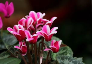 挽回婚姻花了10万,挽回婚姻花10万，我做到了