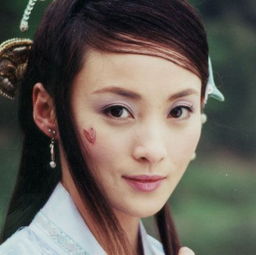 窦漪房试图挽回,窦漪房恳求重归，苦情求爱