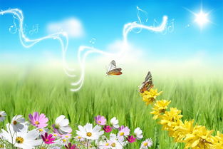 次第花开情感挽回机构，花开花落情感挽回，次第重生新生活。