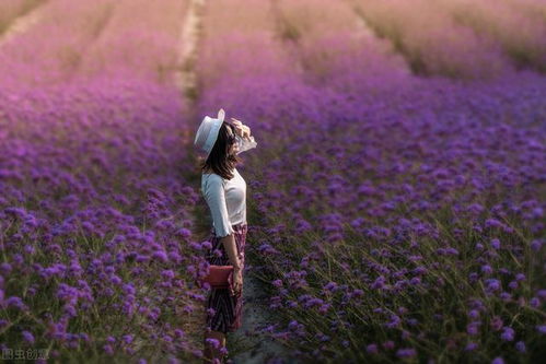 爱到放手挽回的歌，挽回失去的爱情：深情以待