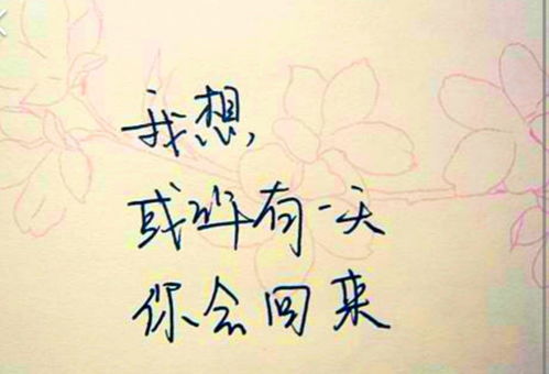 怎样挽回原来的壁纸照片，如何恢复消失的壁纸，找回遗失的美好回忆。