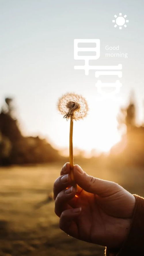 挽回的高级文案励志,重拾初心，绽放新生——挽回梦想的自我实现