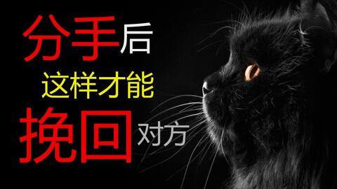 遭遇了分手怎么挽回,如何挽回分手的感情