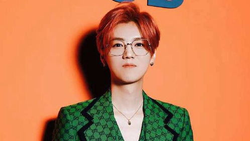 鹿晗分手挽回金牛,鹿晗金牛分手：是否有挽回余地？