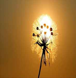 挽回即将破裂的感情,如何挽救破裂的爱情？