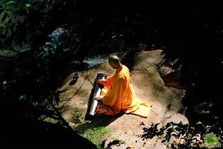 走到了绝路怎么挽回,绝路里转身，何不向前走？