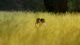 分手多久后挽回前任,分手后多少时间适合挽回前任？