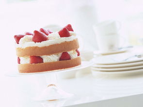 无力挽回男朋友蛋糕,挽回男友，糕点无能为力