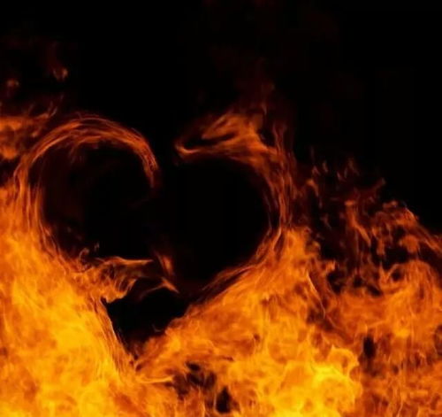 户外挽回表白活动,挽回爱情，在自然中点燃爱情的火焰