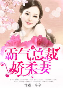 霸气总裁挽回灰姑娘,总裁疯狂追爱重新赢得灰姑娘