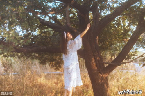 挽回前任攻略旅游图片,走遍岁月，挽回旧爱，美景为伴