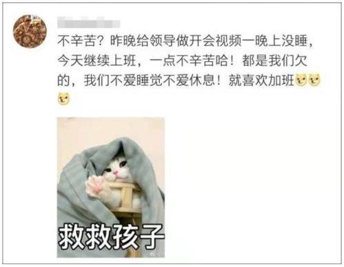 无法挽回的年轻,年轻错失无可弥补