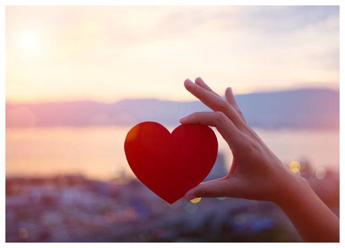 十二星座恋爱怎么挽回,星座恋爱如何挽回