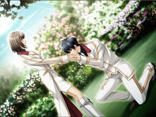 琉璃挽回吻第几集,琉璃何集挽回吻？