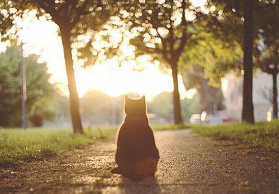 如何挽回自私的男人,怎样挽回自私男人