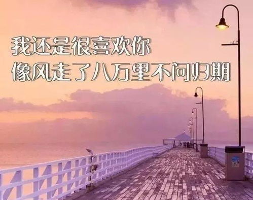 情感语录版挽回余生,重拾爱火，挽回余生